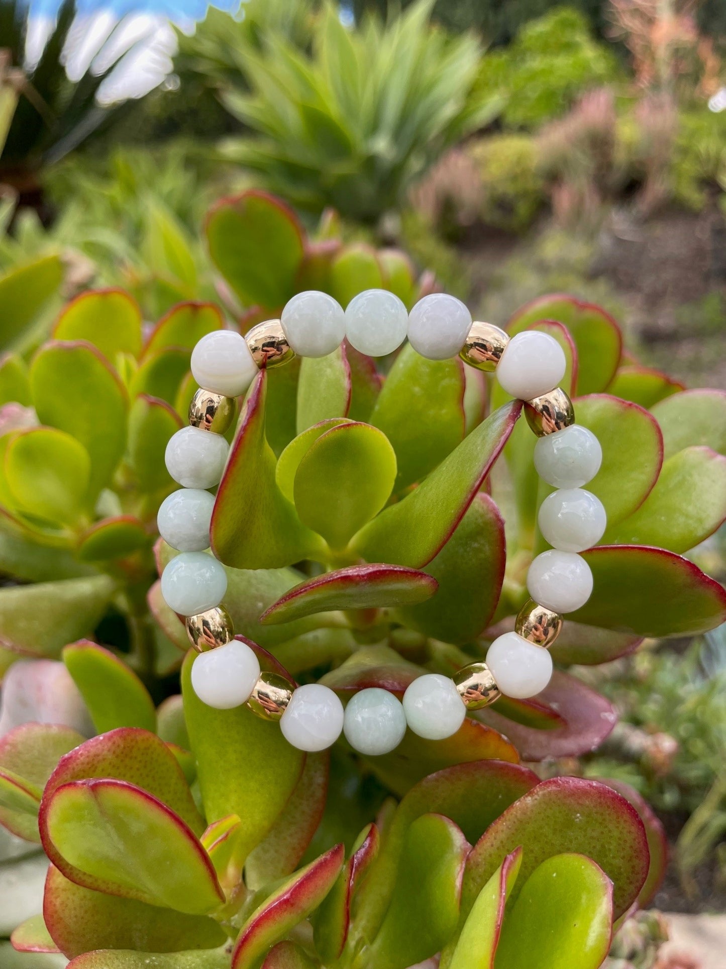 Burmese Jade and Shell 8mm Bead Bracelet