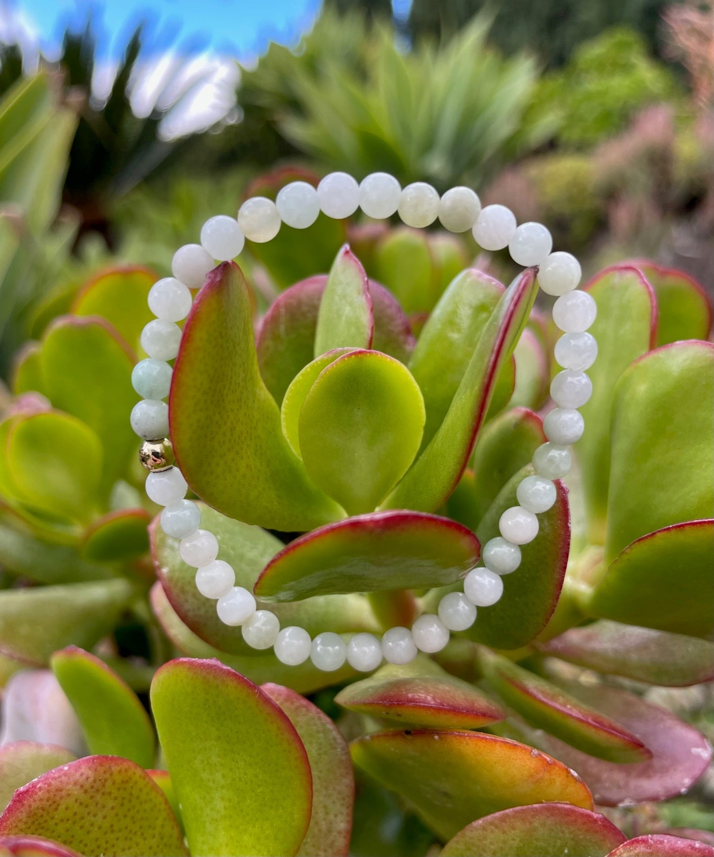 Burmese Jade Dainty 4mm Bead Bracelet